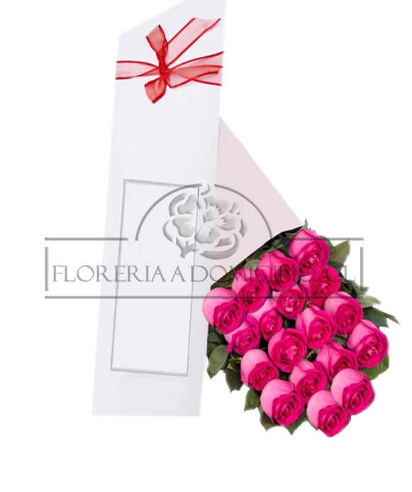 Caja de 18 Rosas Fucsia